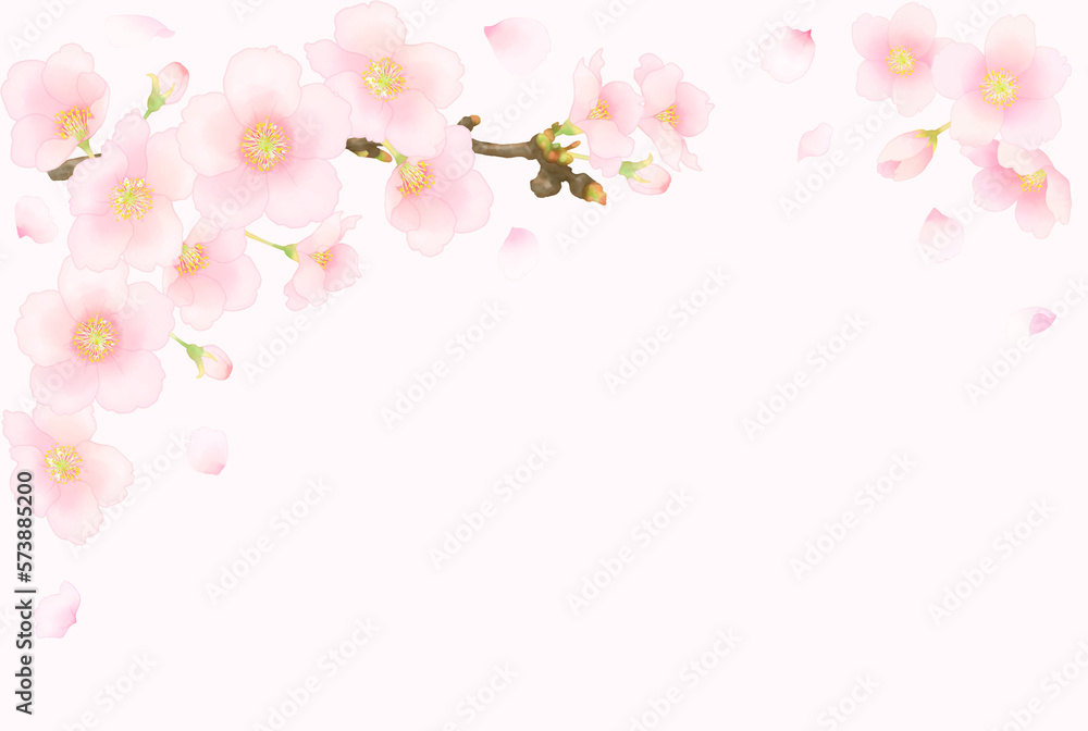 水彩調の桜のピンク色フレーム(ソメイヨシノ) 水彩調の桜のピンク色フレーム(ソメイヨシノ)
