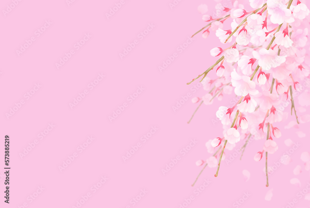 水彩調の枝垂れ桜のピンク色フレーム