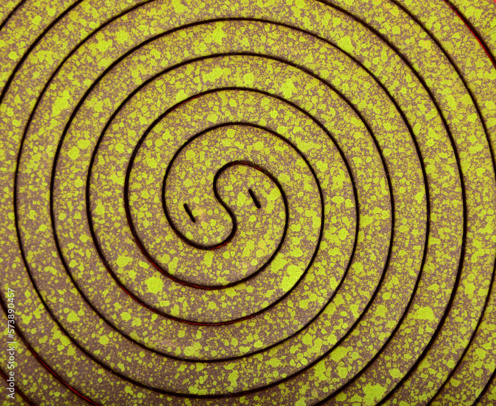Mosquito coil is mosquito-repelling incense, made by (Azadirachta indica), neem leaves, usually shaped into a spiral, Anti mosquito, green color - insecticides. with neem leaves isolated Mosquito coil is mosquito-repelling incense, made by (Azadirachta indica), neem leaves, usually shaped into a spiral, Anti mosquito, green color - insecticides. with neem leaves isolated