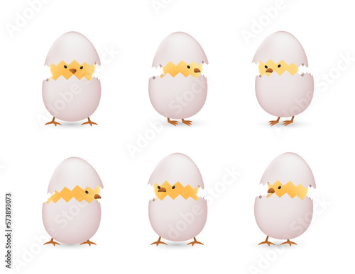 Chicks in white broken eggs set
