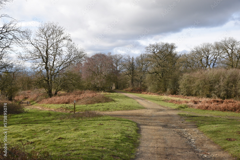 a path that leads you through Castlemorton common and up the Malvern hills