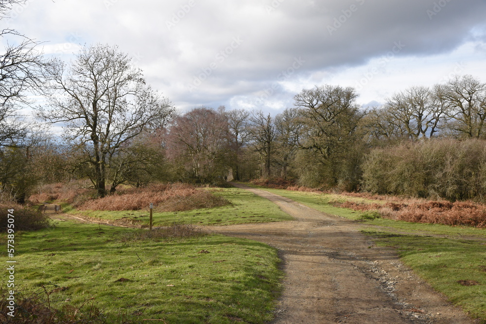 a path that leads you through Castlemorton common and up the Malvern hills a path that leads you through Castlemorton common and up the Malvern hills