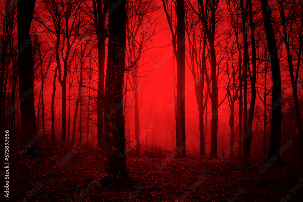 dark scary forest at night, surreal horror woods - obrazy, fototapety, plakaty 