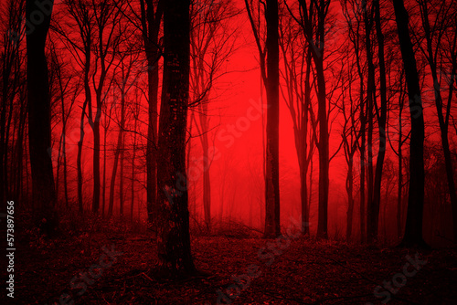 dark scary forest at night, surreal horror woods Fototapet