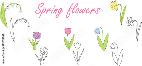 vector illustration set of spring flowers in lineart style