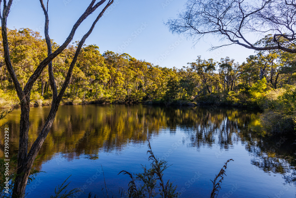 Forrest lake inviting for a swim in Mount Frankland National Park in Western Australia