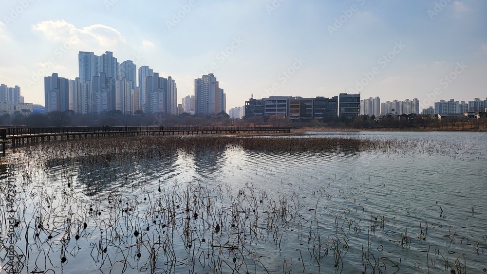 Fototapeta premium 하늘과 바다와 과일