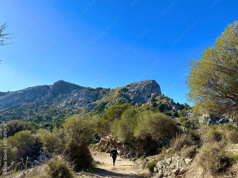 Nature and mountains in the town of Soller Nature and mountains in the town of Soller