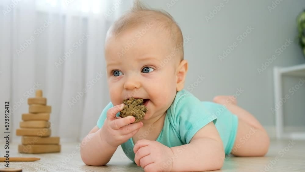Cute little baby with big blue eyes in blue color bodysuit crawling on floor at home with light background and play with pine cone. Wooden toys. Infant leisure at home. Sensory development. Cute little baby with big blue eyes in blue color bodysuit crawling on floor at home with light background and play with pine cone. Wooden toys. Infant leisure at home. Sensory development.