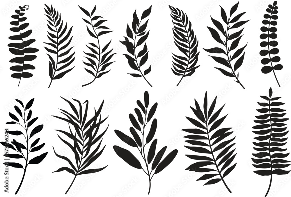 Set of leaves. Hand drawn decorative elements. Vector illustration Set of leaves. Hand drawn decorative elements. Vector illustration