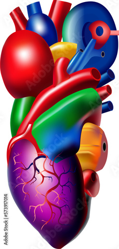 3d realistic human heart isolated on white background. Cardiology, anatomy concept. cartoon design