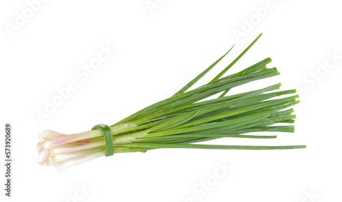 Green Onion on  transparent png