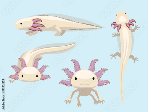 Animal Poses Salamander Axolotl Cartoon Character Vector

