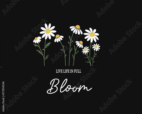 daisies on a black background