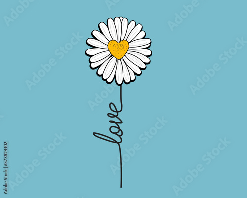 camomile on blue background daisy flower