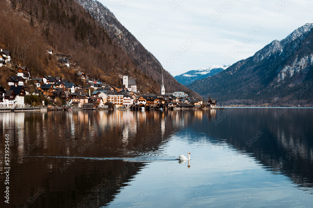 Beautiful view of Hallstatt, Austria. Nature landscape of Hallstatt village with lake and mountain. A swan passing by swimming at the lake. Concept of calm