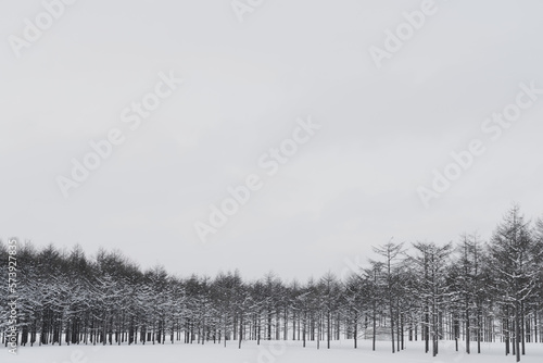 冬の景色 © adm