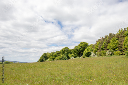 Summertime landscape in the English countryside. photo