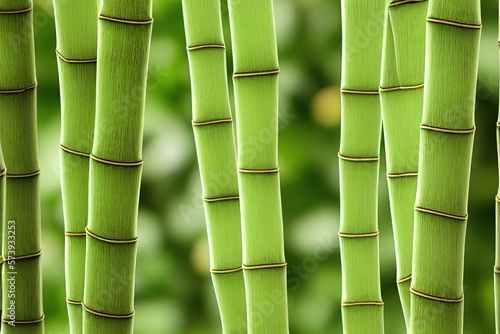 texture de bambou vert naturel en tiges sur fond flou photo