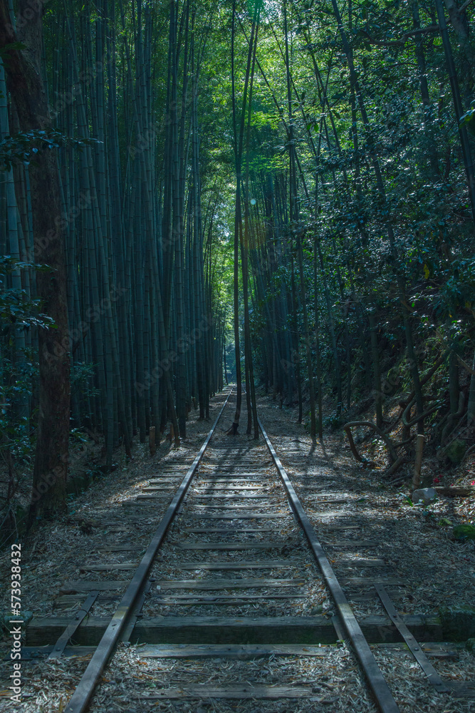 Obraz premium 旧国鉄倉吉線廃線跡の竹林の風景 鳥取県 旧国鉄倉吉線廃線跡