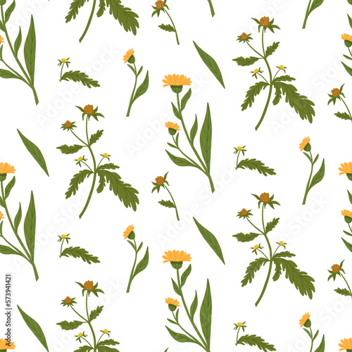 Rich green samless patern with string and calendula. Field and wild flowers