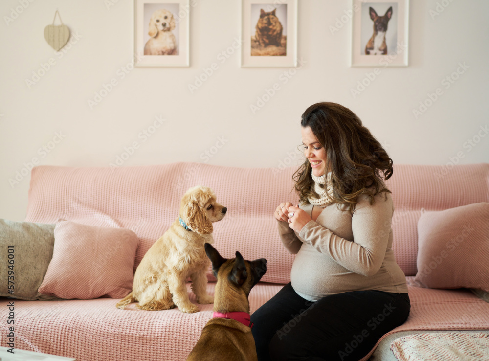 Happy pregnant woman with dogs in living room Happy pregnant woman with dogs in living room