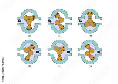 Lobe Pump