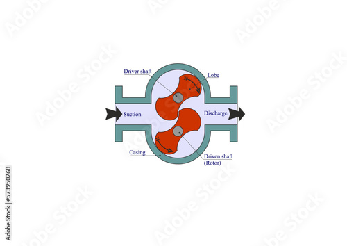 Lobe Pump