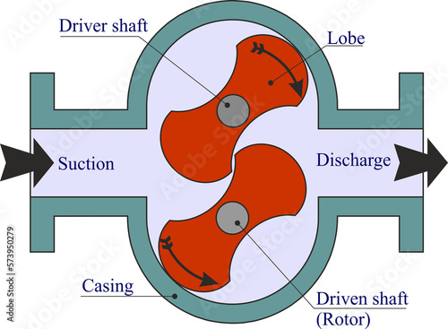 Lobe Pump