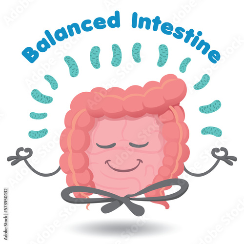 Human organ mascot balanced intestine, in harmony with probiotics. Ideal for training and educational materials
