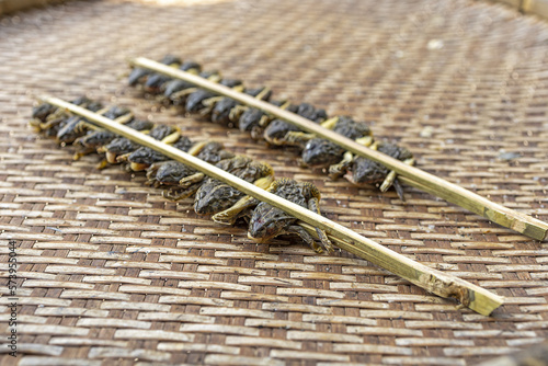 Sun dried green frogs, local food of Thailand.