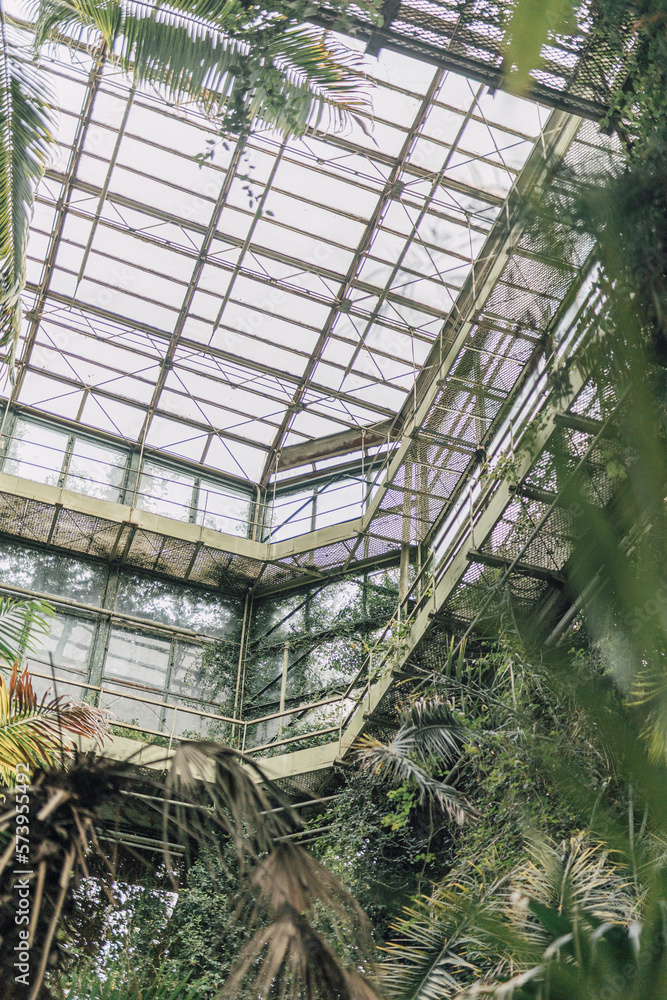 Vintage greenhouse structure made with glass and still. Tropical plants in indoor garden. Exotic leaves in plant house.