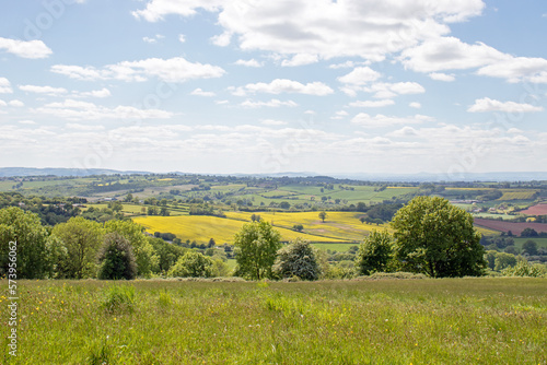 Summertime trees and scenery along the Bromyard Downs Herefordshire  England.