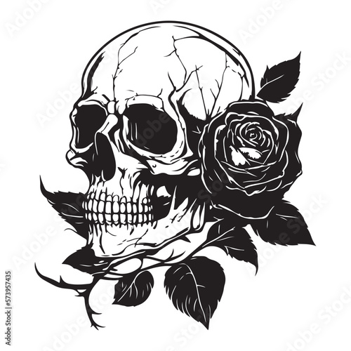 Skull With Rose Flower Black Outline Vector. Human skull with rose sketch drawing, tattoo vector illustration isolated on white background