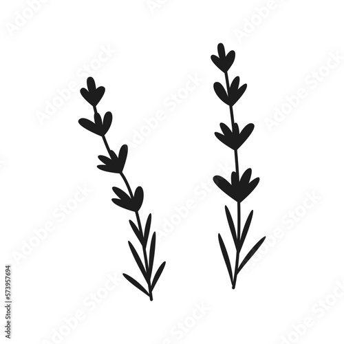 Hand drawn lavender flowers. Vector illustration. Simple doodle style.