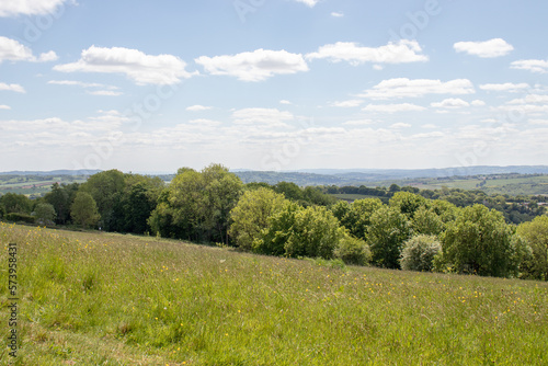 Summertime trees and scenery along the Bromyard Downs of England. photo