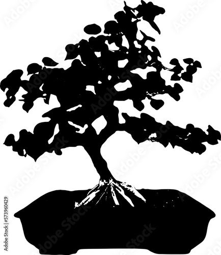 Bonsai silhouette of a tree