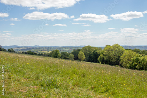 Summertime trees and scenery along the Bromyard Downs of England.