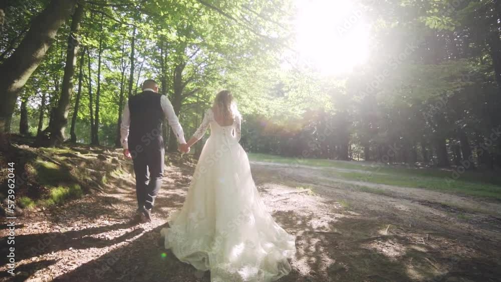 Majestic view of sun glares in forest and beautyiful newlyweds are walking Majestic view of sun glares in forest and beautyiful newlyweds are walking