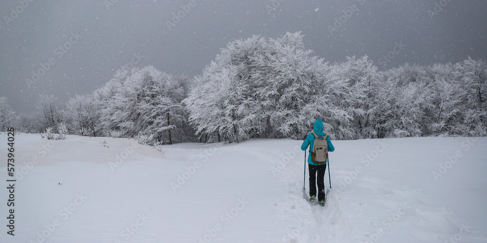 a girl in a hoodie making her way through a snowy forest using poles, hiking in the mountains during a blizzard