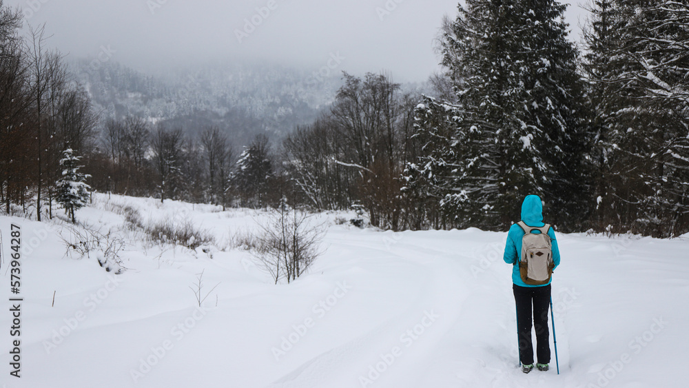 Gloomy photo of a hiker girl walking through a dark forest during a snowstorm; hiking in the mountains during a cold winter