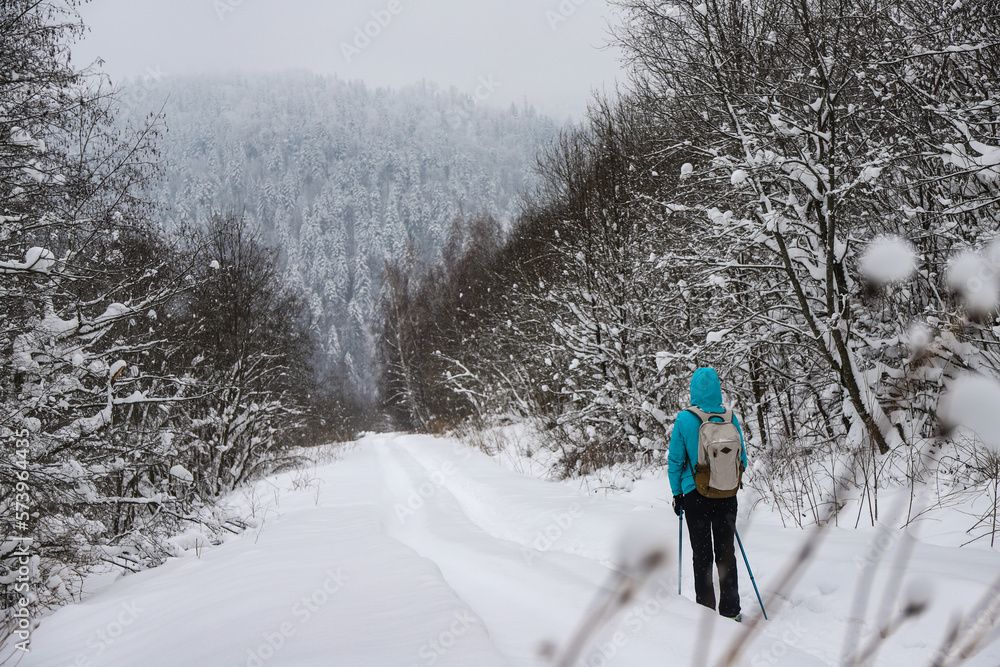 Gloomy photo of a hiker girl walking through a dark forest during a snowstorm; hiking in the mountains during a cold winter