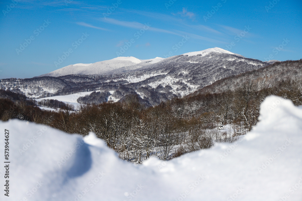 panorama of mountains with shrubs covered by a thick layer of snow, frozen mountain vegetation covering the slopes of mighty mountains
