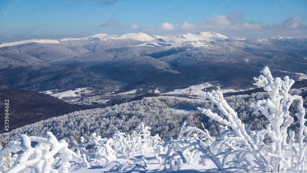 panorama of mountains with shrubs covered by a thick layer of snow, frozen mountain vegetation covering the slopes of mighty mountains