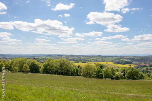 Summertime trees and scenery along the Bromyard Downs of England. © Jenn's Photography 