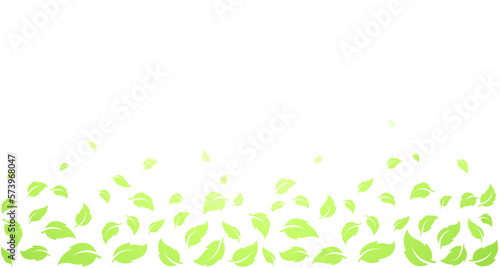 Green leaves silhouettes background and place for text