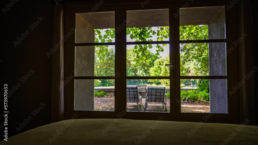 view in the garden view in the garden