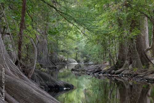 Cibolo Creek in Fall, Boerne, Texas