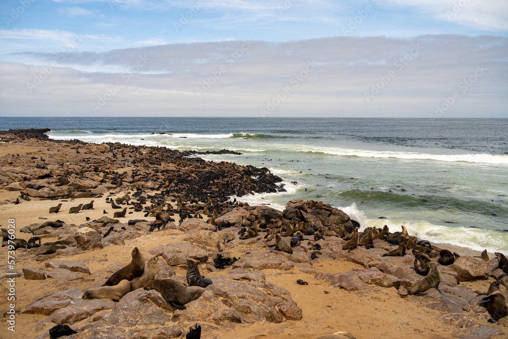 Cape Cross Seal Colony, Namibia