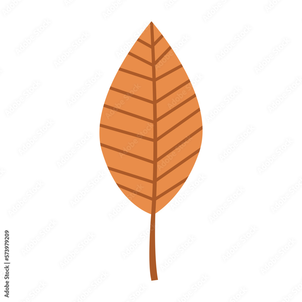 Autumn Leaf Icon Illustration Autumn Leaf Icon Illustration